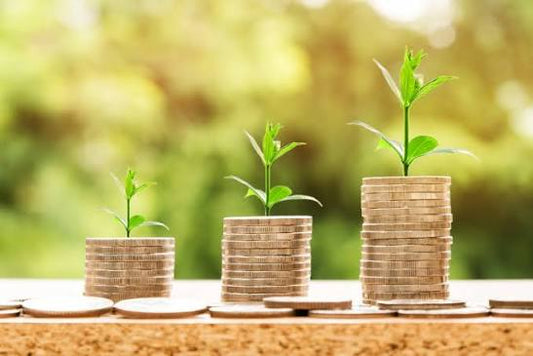 QUANDO FARE LEVA SUL DEBITO O SUL CAPITALE PROPRIO?